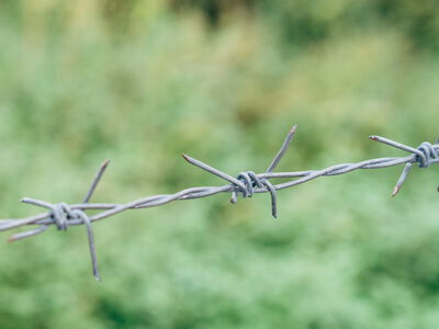 A length of barbed wire in front of a green background. Picture by Markus Winkler via Pexels