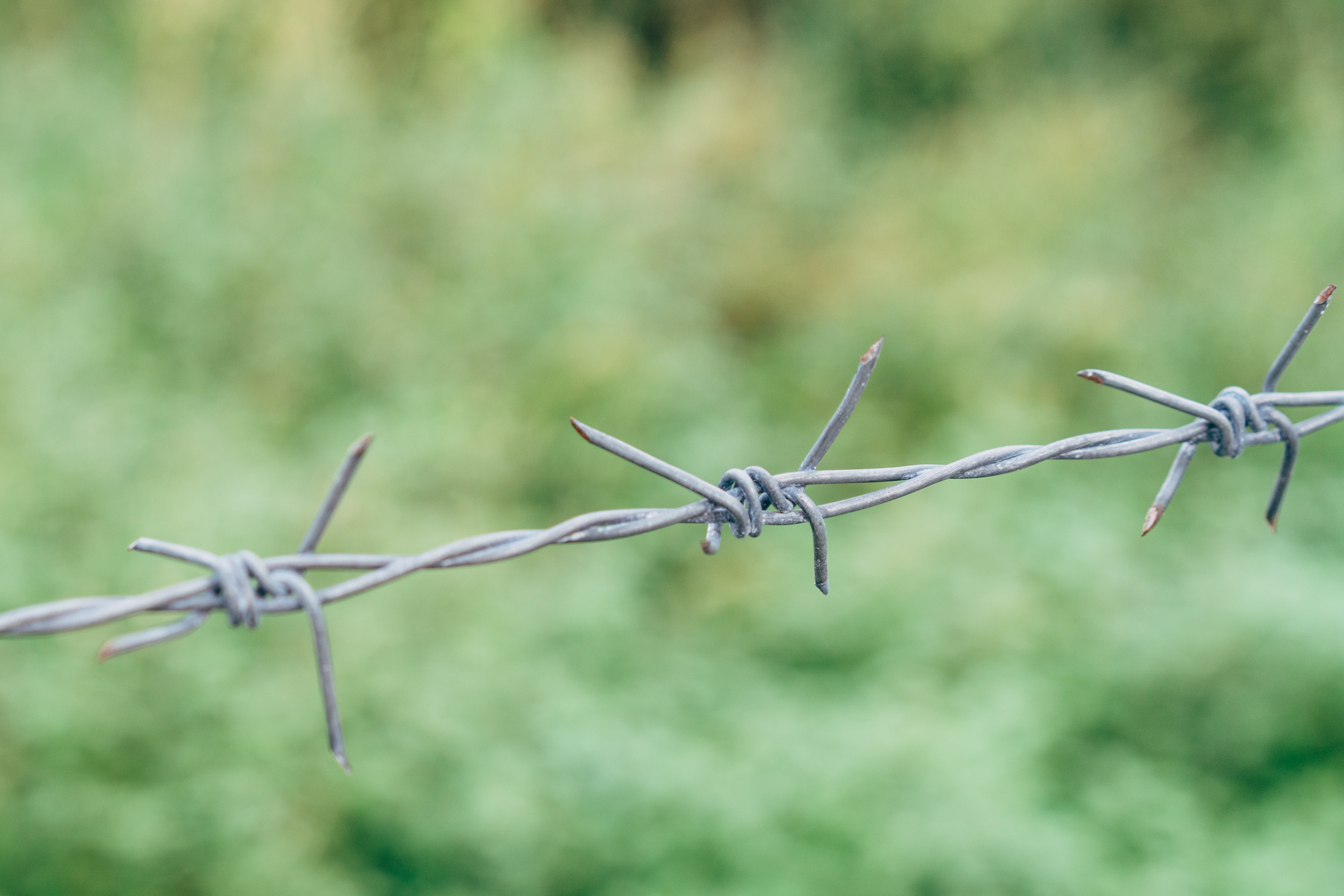 Barbed wire A length of barbed wire in front of a green background. Picture by Markus Winkler via Pexels